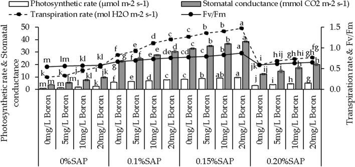 https://cdn.ncbi.nlm.nih.gov/pmc/blobs/5f4e/11156973/a815988e3d45/41598_2024_63840_Fig4_HTML.jpg