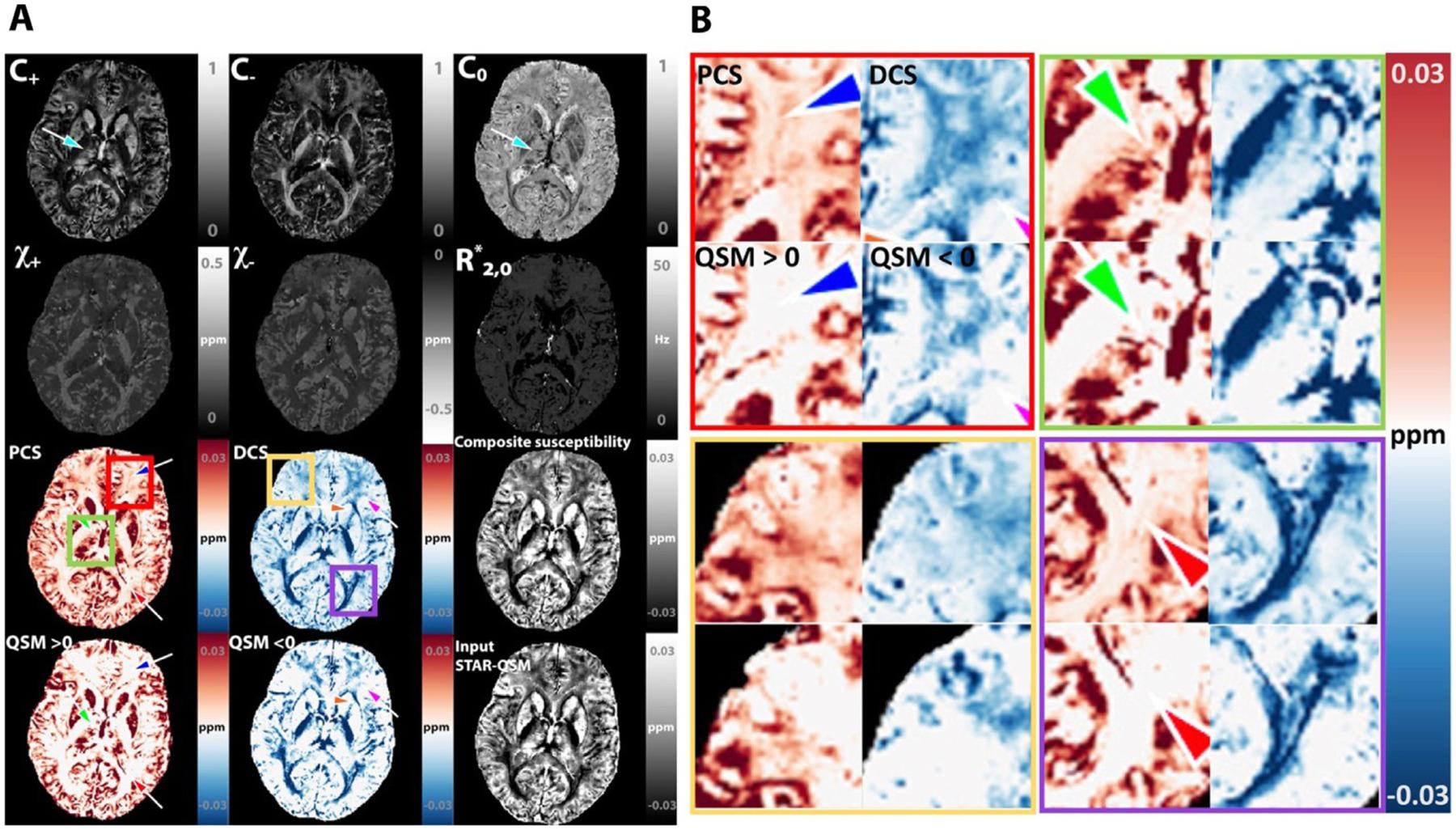 https://cdn.ncbi.nlm.nih.gov/pmc/blobs/5f50/8720043/3676b76dd59d/nihms-1762713-f0008.jpg