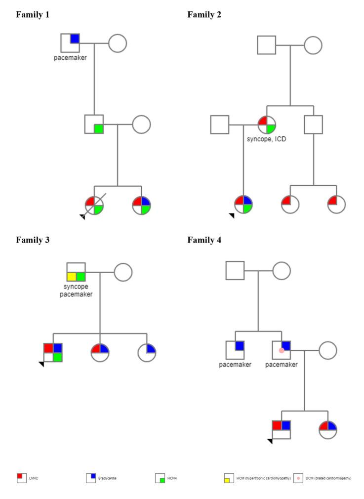 https://cdn.ncbi.nlm.nih.gov/pmc/blobs/5f50/8949387/ed596352331f/genes-13-00477-g001.jpg