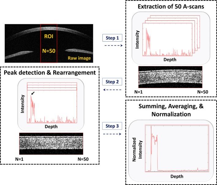 https://cdn.ncbi.nlm.nih.gov/pmc/blobs/5f52/7065634/d5792718fa22/JBIO-12-e201900098-g003.jpg