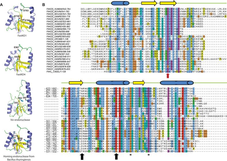 https://cdn.ncbi.nlm.nih.gov/pmc/blobs/5f57/5449608/1835ffd471e8/gkx164fig4.jpg