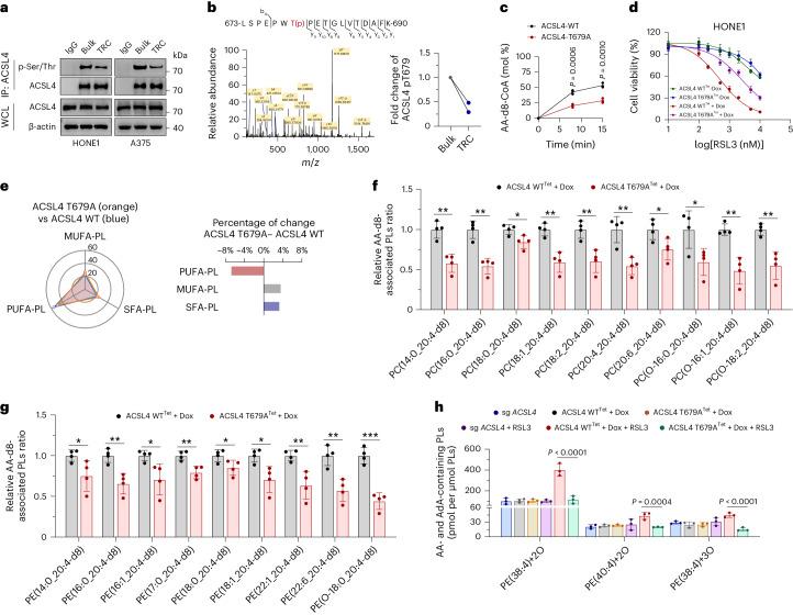 https://cdn.ncbi.nlm.nih.gov/pmc/blobs/5f59/11427348/214badd4b4d1/41589_2024_1612_Fig3_HTML.jpg