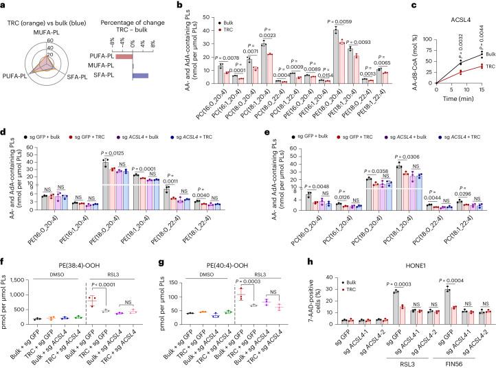 https://cdn.ncbi.nlm.nih.gov/pmc/blobs/5f59/11427348/2477431ce0cf/41589_2024_1612_Fig2_HTML.jpg