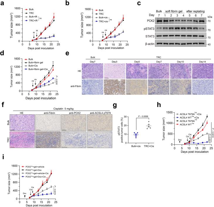 https://cdn.ncbi.nlm.nih.gov/pmc/blobs/5f59/11427348/3dc362f7f62e/41589_2024_1612_Fig15_ESM.jpg