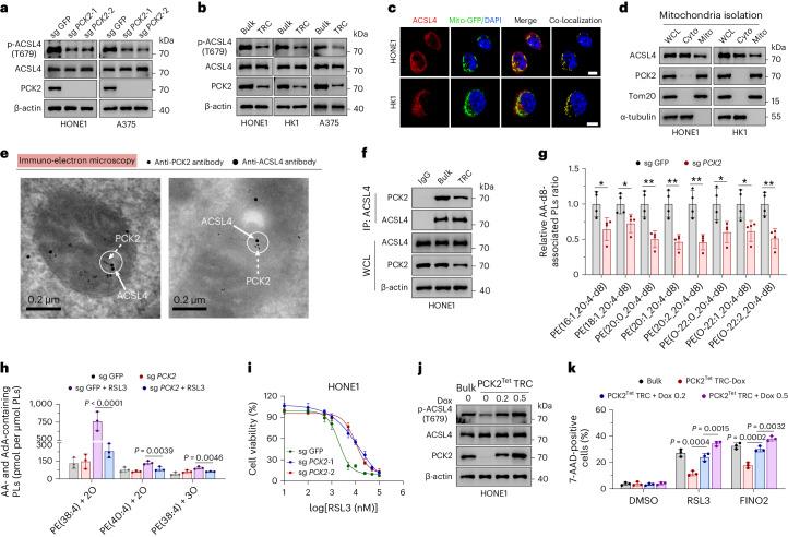 https://cdn.ncbi.nlm.nih.gov/pmc/blobs/5f59/11427348/46d66e50a4a0/41589_2024_1612_Fig4_HTML.jpg