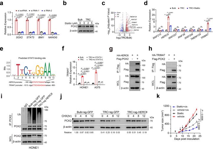 https://cdn.ncbi.nlm.nih.gov/pmc/blobs/5f59/11427348/5771e6629853/41589_2024_1612_Fig14_ESM.jpg