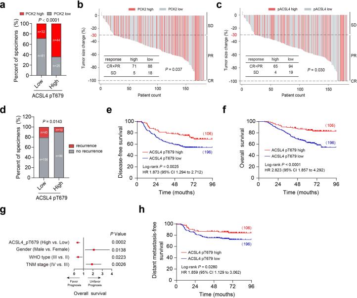https://cdn.ncbi.nlm.nih.gov/pmc/blobs/5f59/11427348/6cb4a2a71d15/41589_2024_1612_Fig16_ESM.jpg