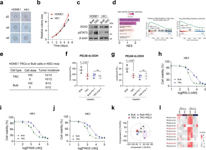 https://cdn.ncbi.nlm.nih.gov/pmc/blobs/5f59/11427348/7881e406c601/41589_2024_1612_Fig7_ESM.jpg