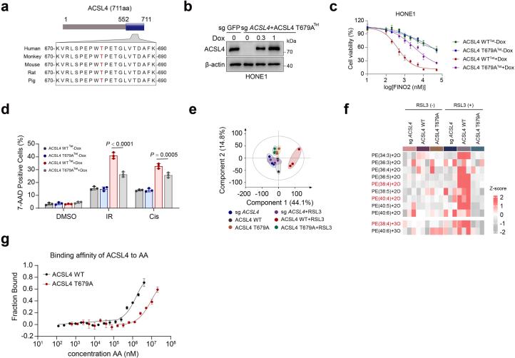 https://cdn.ncbi.nlm.nih.gov/pmc/blobs/5f59/11427348/80b4e054b30f/41589_2024_1612_Fig10_ESM.jpg