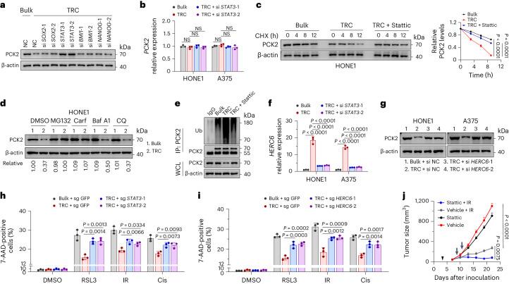 https://cdn.ncbi.nlm.nih.gov/pmc/blobs/5f59/11427348/87a7b6f9efe1/41589_2024_1612_Fig5_HTML.jpg