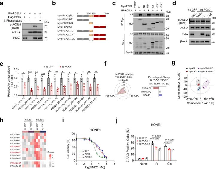 https://cdn.ncbi.nlm.nih.gov/pmc/blobs/5f59/11427348/8e65b85ecaaa/41589_2024_1612_Fig12_ESM.jpg