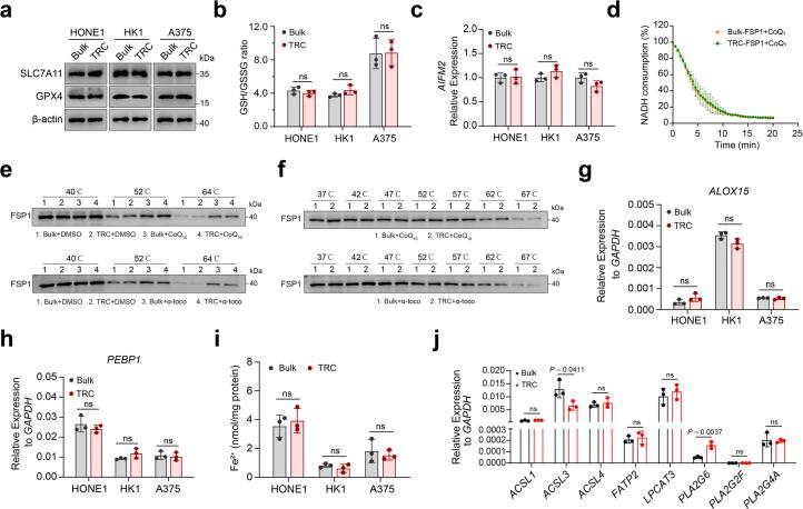 https://cdn.ncbi.nlm.nih.gov/pmc/blobs/5f59/11427348/f0091483641d/41589_2024_1612_Fig8_ESM.jpg