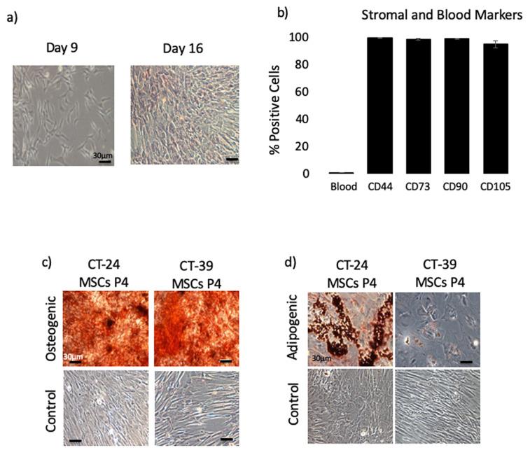 https://cdn.ncbi.nlm.nih.gov/pmc/blobs/5f5a/7824218/82925f8a3c39/cells-10-00049-g001.jpg