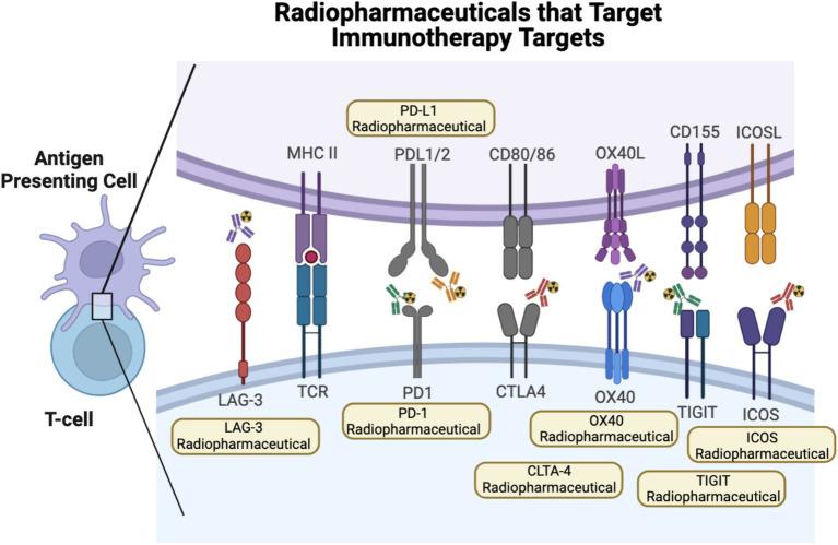 https://cdn.ncbi.nlm.nih.gov/pmc/blobs/5f5b/11298440/931619e18c39/fmed-11-1233913-g001.jpg