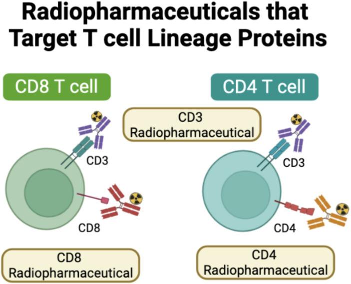 https://cdn.ncbi.nlm.nih.gov/pmc/blobs/5f5b/11298440/e43fd362a0e4/fmed-11-1233913-g002.jpg