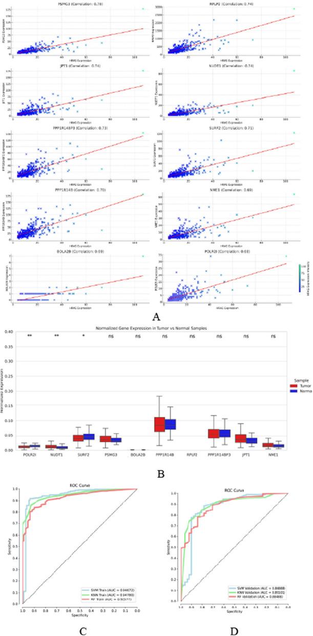 https://cdn.ncbi.nlm.nih.gov/pmc/blobs/5f5b/12039069/a6f243c4b08b/12885_2025_14131_Fig6_HTML.jpg