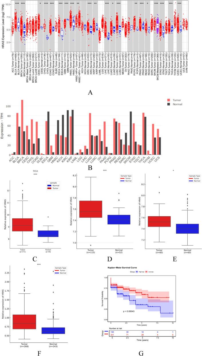 https://cdn.ncbi.nlm.nih.gov/pmc/blobs/5f5b/12039069/d9e5ece7bcd1/12885_2025_14131_Fig2_HTML.jpg