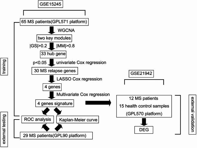https://cdn.ncbi.nlm.nih.gov/pmc/blobs/5f5b/12210466/1be04c746bfb/12883_2025_4231_Fig1_HTML.jpg