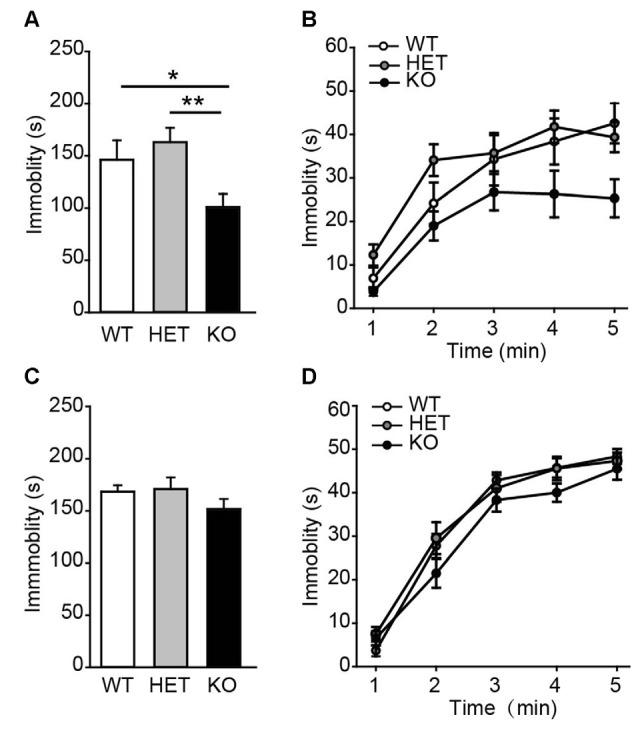 https://cdn.ncbi.nlm.nih.gov/pmc/blobs/5f5b/5346996/674bf55d7edc/fnbeh-11-00049-g0003.jpg