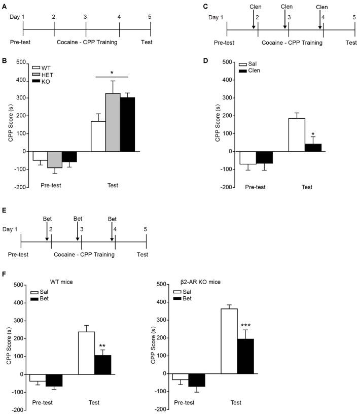 https://cdn.ncbi.nlm.nih.gov/pmc/blobs/5f5b/5346996/9eacfc7b4475/fnbeh-11-00049-g0005.jpg