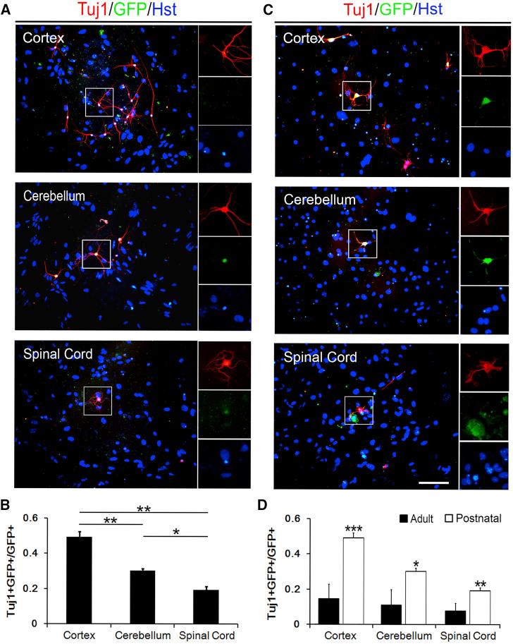 https://cdn.ncbi.nlm.nih.gov/pmc/blobs/5f5d/6373495/033faf5fd281/gr2.jpg