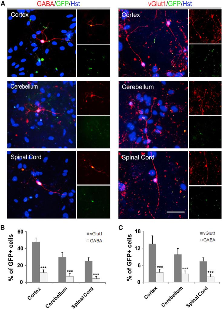 https://cdn.ncbi.nlm.nih.gov/pmc/blobs/5f5d/6373495/53d968566fc0/gr4.jpg