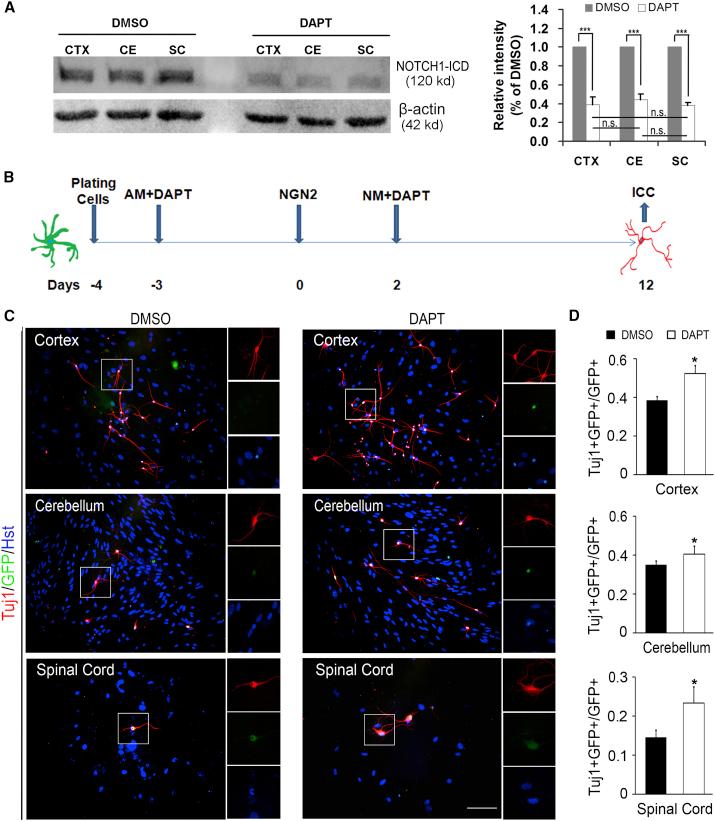 https://cdn.ncbi.nlm.nih.gov/pmc/blobs/5f5d/6373495/6ceaf3644ff1/gr6.jpg