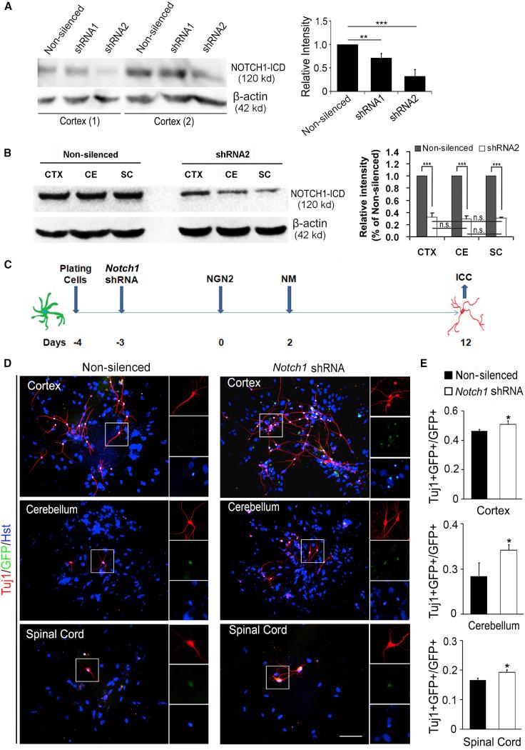 https://cdn.ncbi.nlm.nih.gov/pmc/blobs/5f5d/6373495/7cb36d389066/gr7.jpg