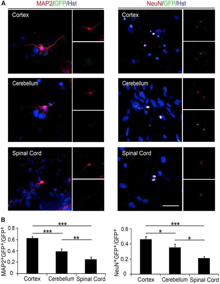 https://cdn.ncbi.nlm.nih.gov/pmc/blobs/5f5d/6373495/af3435a62784/gr3.jpg
