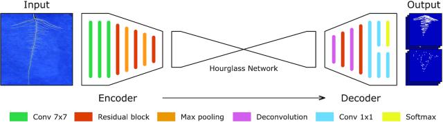 https://cdn.ncbi.nlm.nih.gov/pmc/blobs/5f5d/6839032/17274c0c7fd8/giz123fig10.jpg