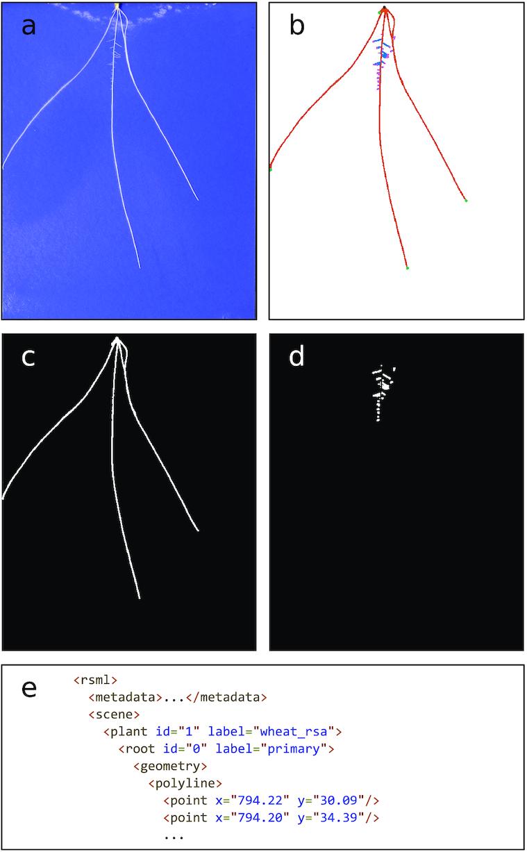 https://cdn.ncbi.nlm.nih.gov/pmc/blobs/5f5d/6839032/afc3242f5d56/giz123fig11.jpg
