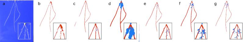 https://cdn.ncbi.nlm.nih.gov/pmc/blobs/5f5d/6839032/c4a0c01c78a4/giz123fig5.jpg