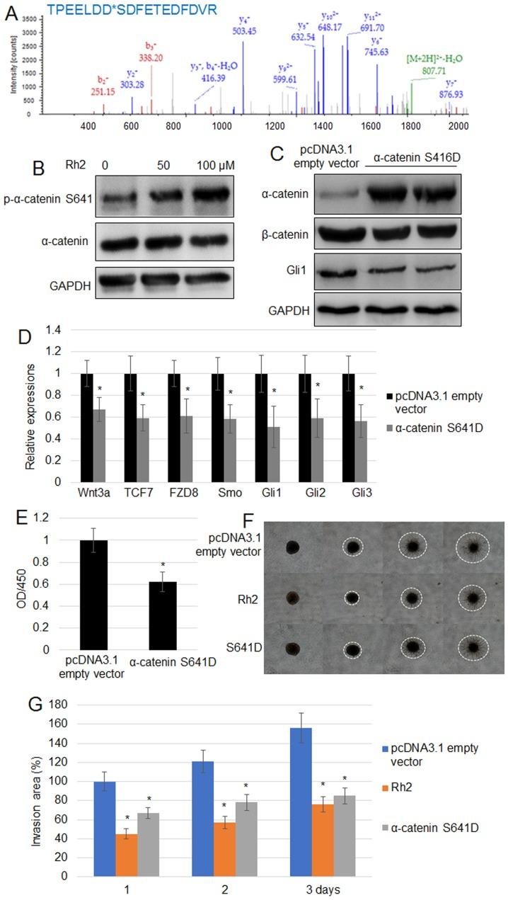 https://cdn.ncbi.nlm.nih.gov/pmc/blobs/5f5e/7086286/91e0e14b051d/etm-19-04-2913-g02.jpg