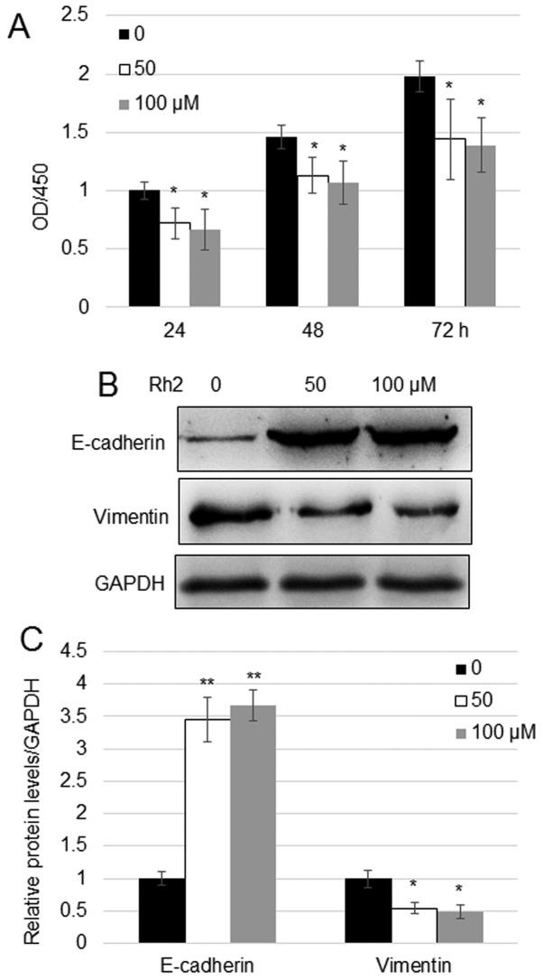 https://cdn.ncbi.nlm.nih.gov/pmc/blobs/5f5e/7086286/f1dba55643ae/etm-19-04-2913-g00.jpg