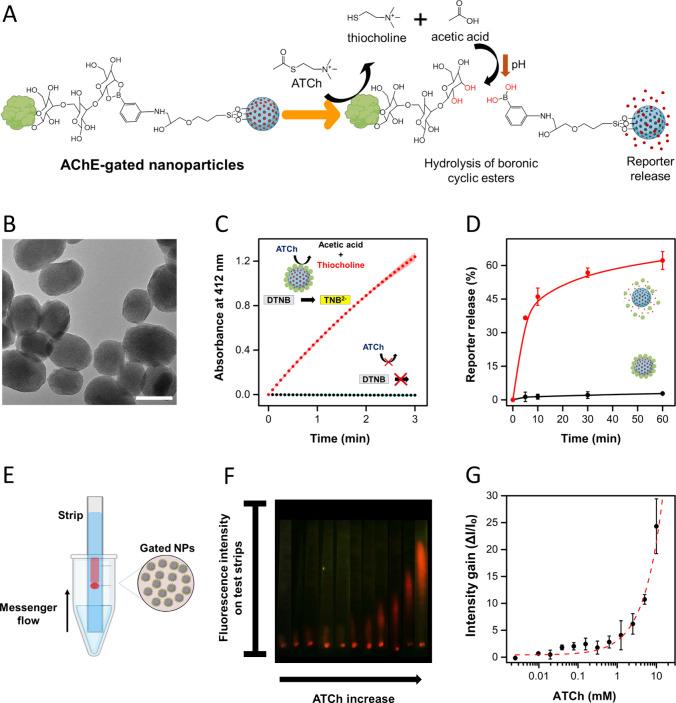 https://cdn.ncbi.nlm.nih.gov/pmc/blobs/5f5f/11544697/a65456034bf3/nl4c04022_0002.jpg