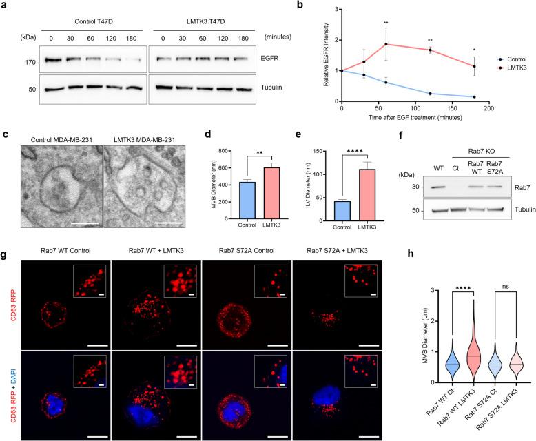 https://cdn.ncbi.nlm.nih.gov/pmc/blobs/5f5f/12100856/7a49916adeb4/12943_2025_2346_Fig3_HTML.jpg