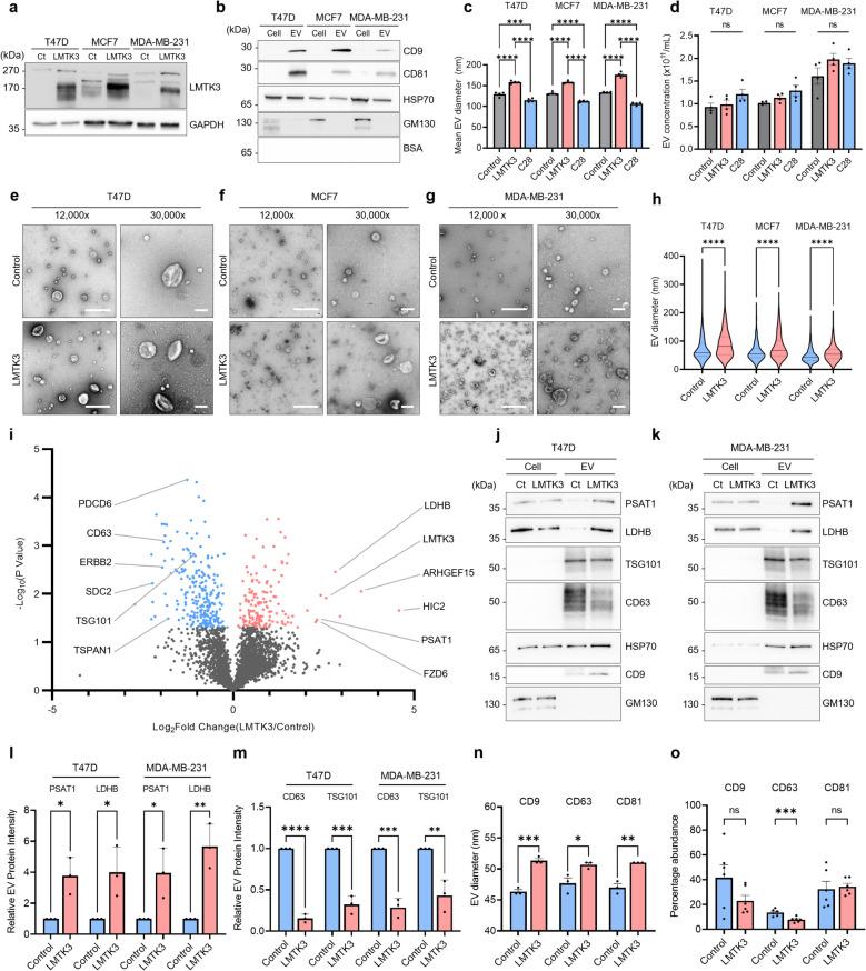 https://cdn.ncbi.nlm.nih.gov/pmc/blobs/5f5f/12100856/9d834f9f4d44/12943_2025_2346_Fig1_HTML.jpg