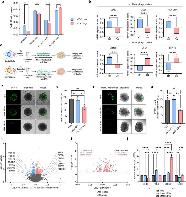 https://cdn.ncbi.nlm.nih.gov/pmc/blobs/5f5f/12100856/b8e0cf08945c/12943_2025_2346_Fig4_HTML.jpg