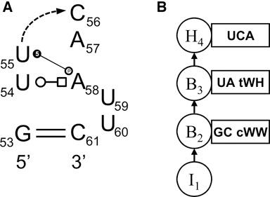 https://cdn.ncbi.nlm.nih.gov/pmc/blobs/5f5f/4551918/295660142bd9/gkv651fig1.jpg
