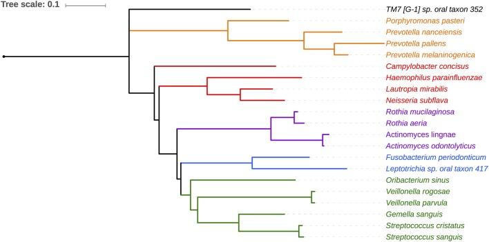 https://cdn.ncbi.nlm.nih.gov/pmc/blobs/5f5f/6797555/727140c74d68/fcimb-09-00347-g0002.jpg