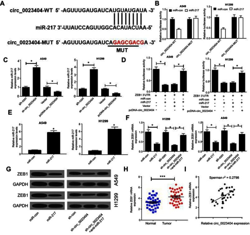 https://cdn.ncbi.nlm.nih.gov/pmc/blobs/5f61/6689096/2a94dd30e05a/OTT-12-6181-g0003.jpg