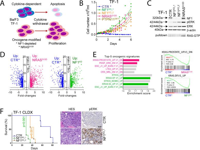 https://cdn.ncbi.nlm.nih.gov/pmc/blobs/5f62/9061298/c2753cbbb5ba/41375_2022_1541_Fig2_HTML.jpg