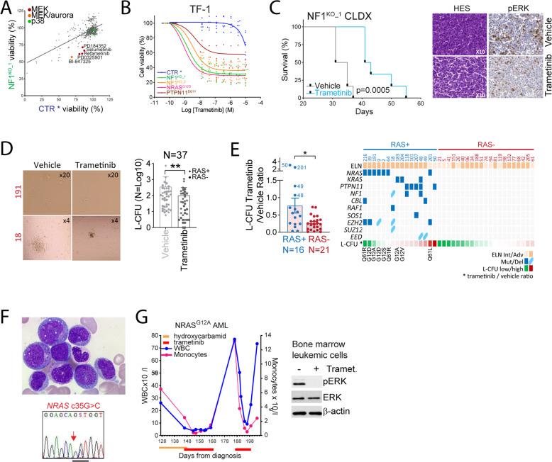 https://cdn.ncbi.nlm.nih.gov/pmc/blobs/5f62/9061298/e9993e870b6f/41375_2022_1541_Fig3_HTML.jpg
