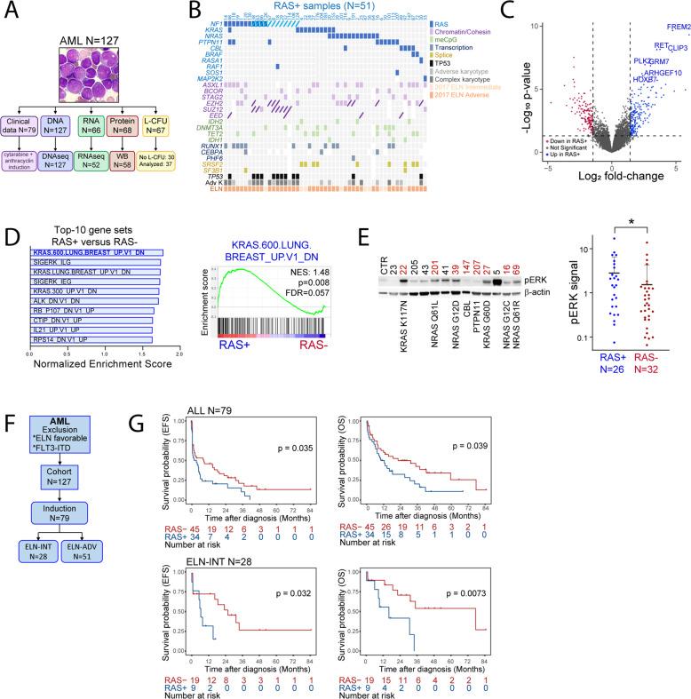 https://cdn.ncbi.nlm.nih.gov/pmc/blobs/5f62/9061298/ecafa6a145ac/41375_2022_1541_Fig1_HTML.jpg
