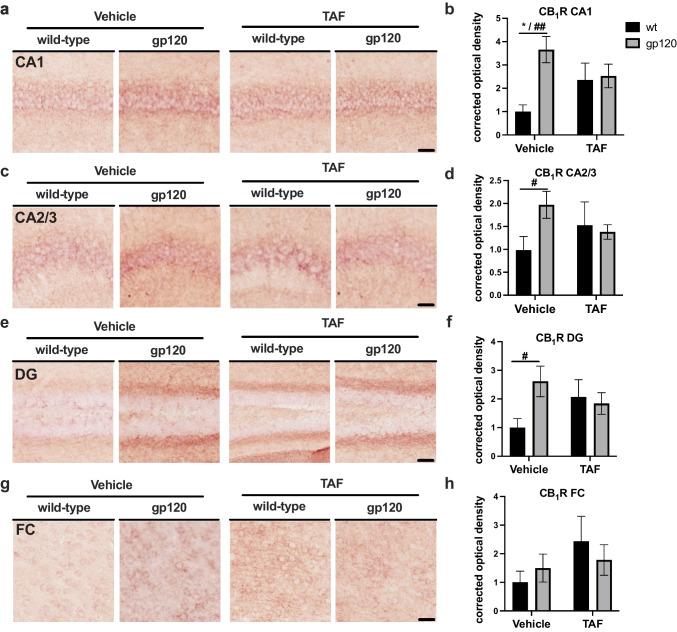https://cdn.ncbi.nlm.nih.gov/pmc/blobs/5f63/10645617/31693a380dd8/13365_2023_1155_Fig1_HTML.jpg