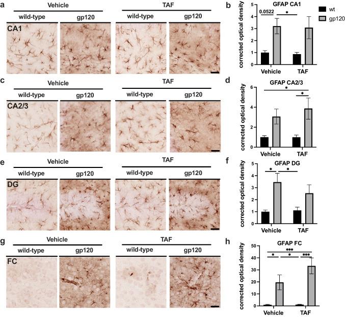 https://cdn.ncbi.nlm.nih.gov/pmc/blobs/5f63/10645617/38469971c2a5/13365_2023_1155_Fig2_HTML.jpg