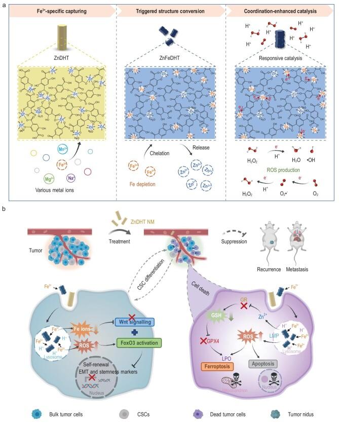 https://cdn.ncbi.nlm.nih.gov/pmc/blobs/5f64/11833684/8a3cc7c2761b/nwae434fig1.jpg