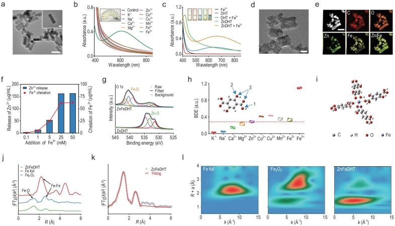 https://cdn.ncbi.nlm.nih.gov/pmc/blobs/5f64/11833684/b375152c252d/nwae434fig2.jpg
