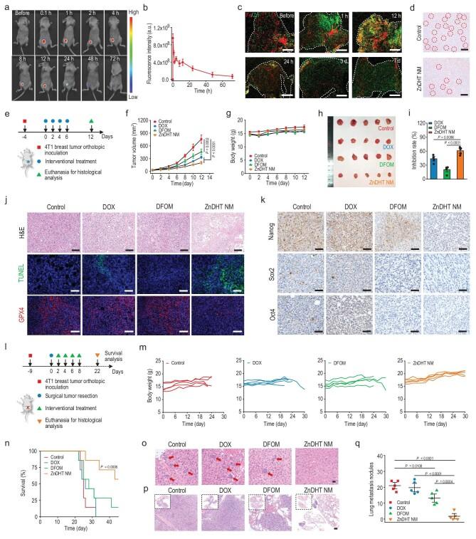https://cdn.ncbi.nlm.nih.gov/pmc/blobs/5f64/11833684/e4827bdd7b4c/nwae434fig6.jpg