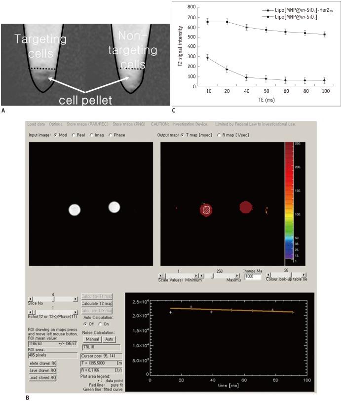 https://cdn.ncbi.nlm.nih.gov/pmc/blobs/5f64/4105802/69a6734b2aaf/kjr-15-411-g006.jpg